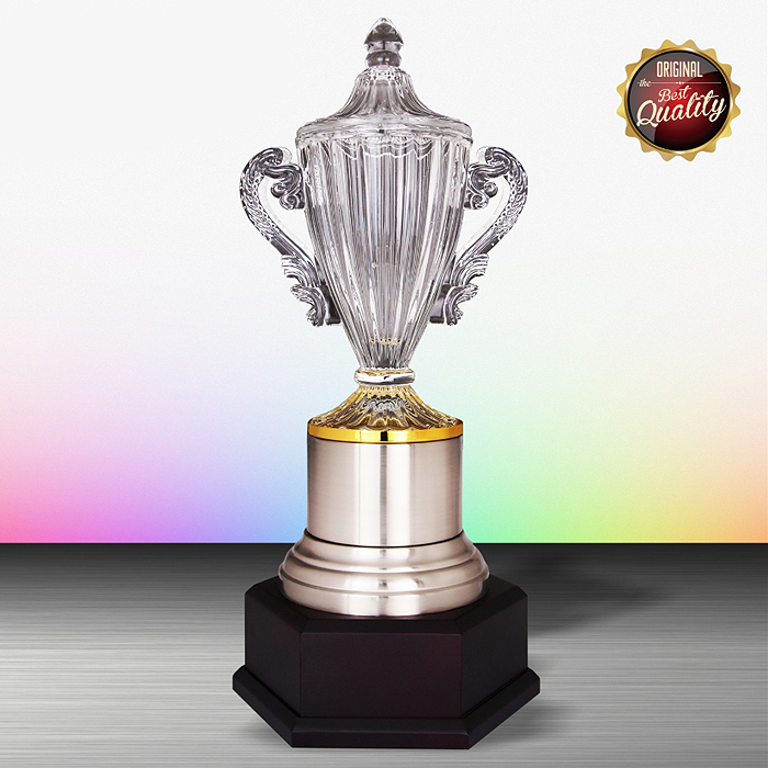 WS6177 - Exclusive White Silver Trophy With Crystal