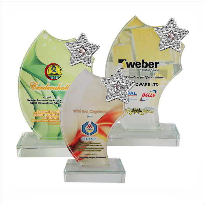 8198 - Exclusive Crystal Glass Star Awards