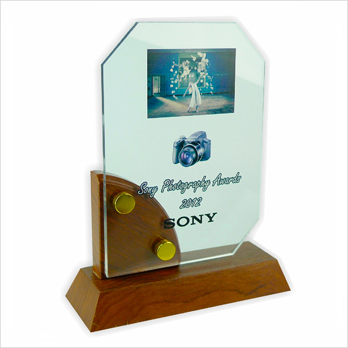 3008 - Exclusive Wooden Crystal Plaque