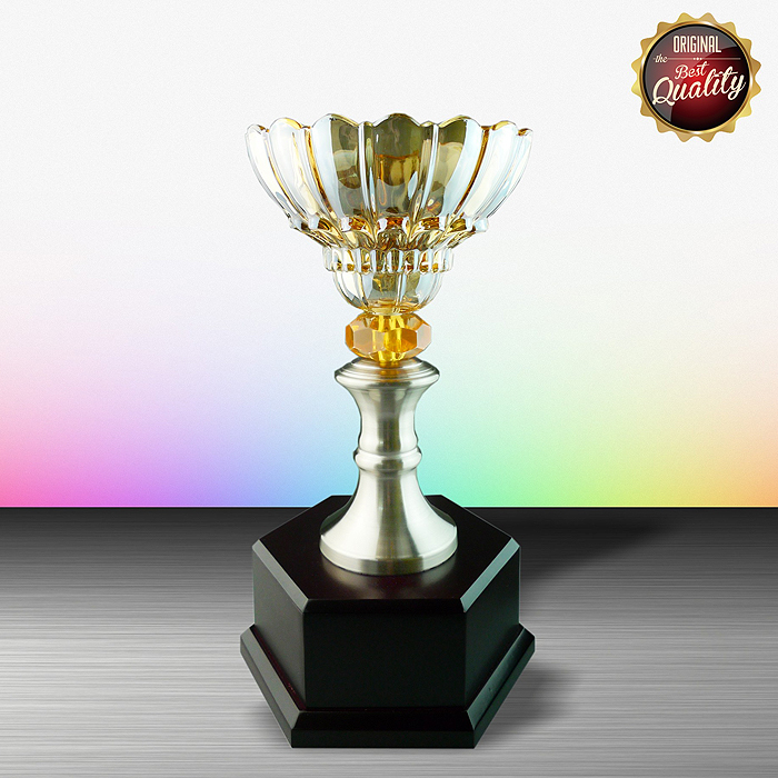 WS6047 - Exclusive White Silver Trophy With Crystal Vase