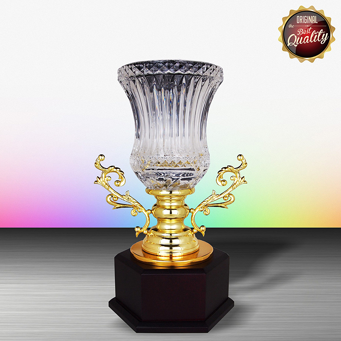 WS6146 - Exclusive White Silver Trophy With Crystal Vase