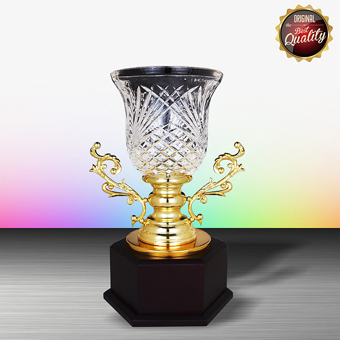 WS6145 - Exclusive White Silver Trophy With Crystal Vase