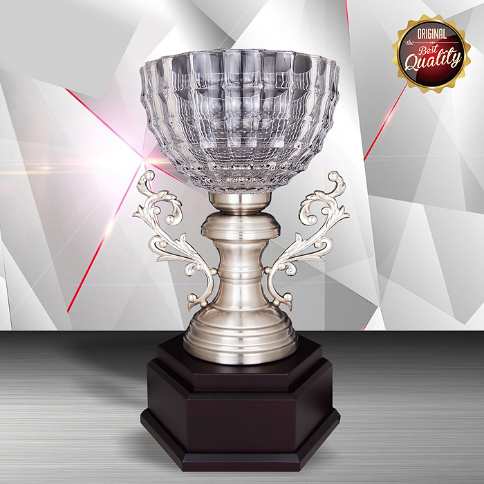 WS6126 - Exclusive White Silver Trophy With Crystal Bowl