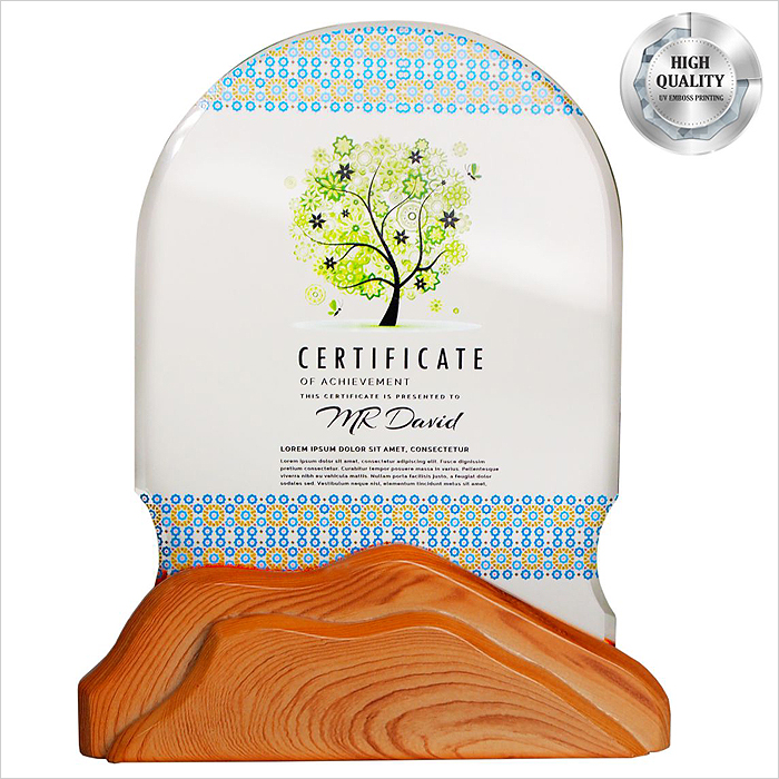 3108 - Exclusive Wooden Crystal Plaque