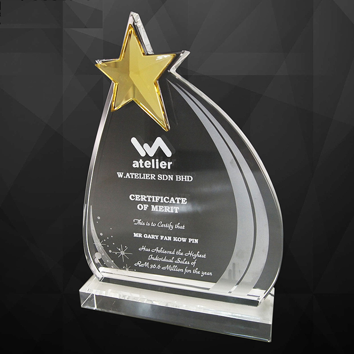 9124 - Exclusive Crystal Star Award