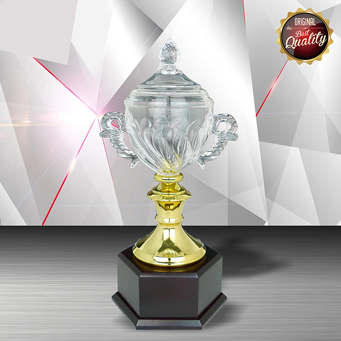 WS6101 - Exclusive White Silver Trophy With Crystal