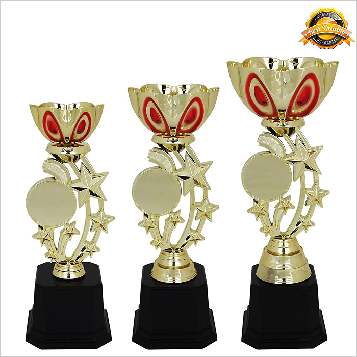 4024 - Metal Bowl & Star Trophy