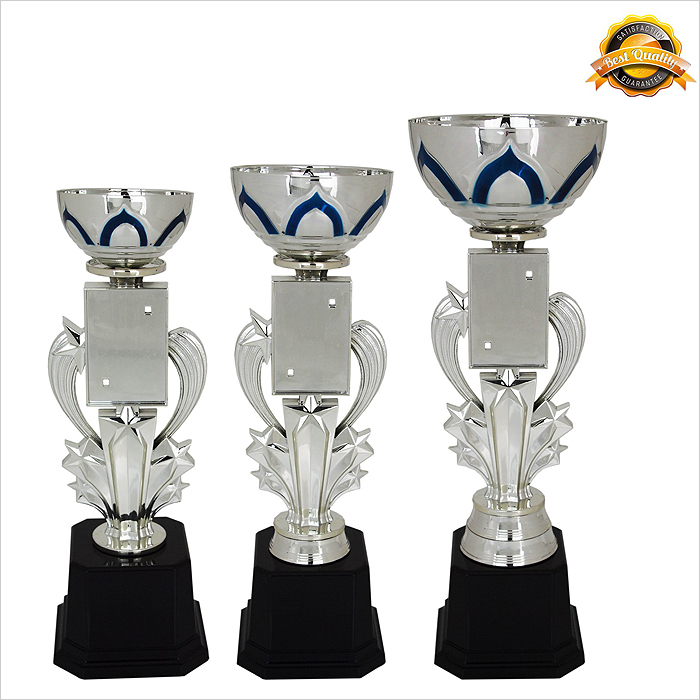 4034 - Metal Bowl & Star Trophy